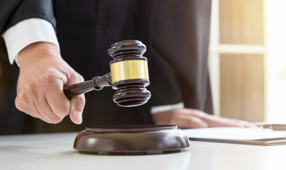 judge and gavel